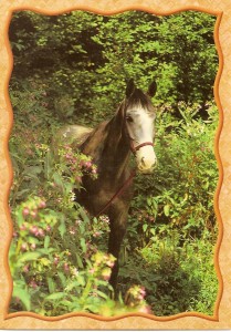 Obrazek